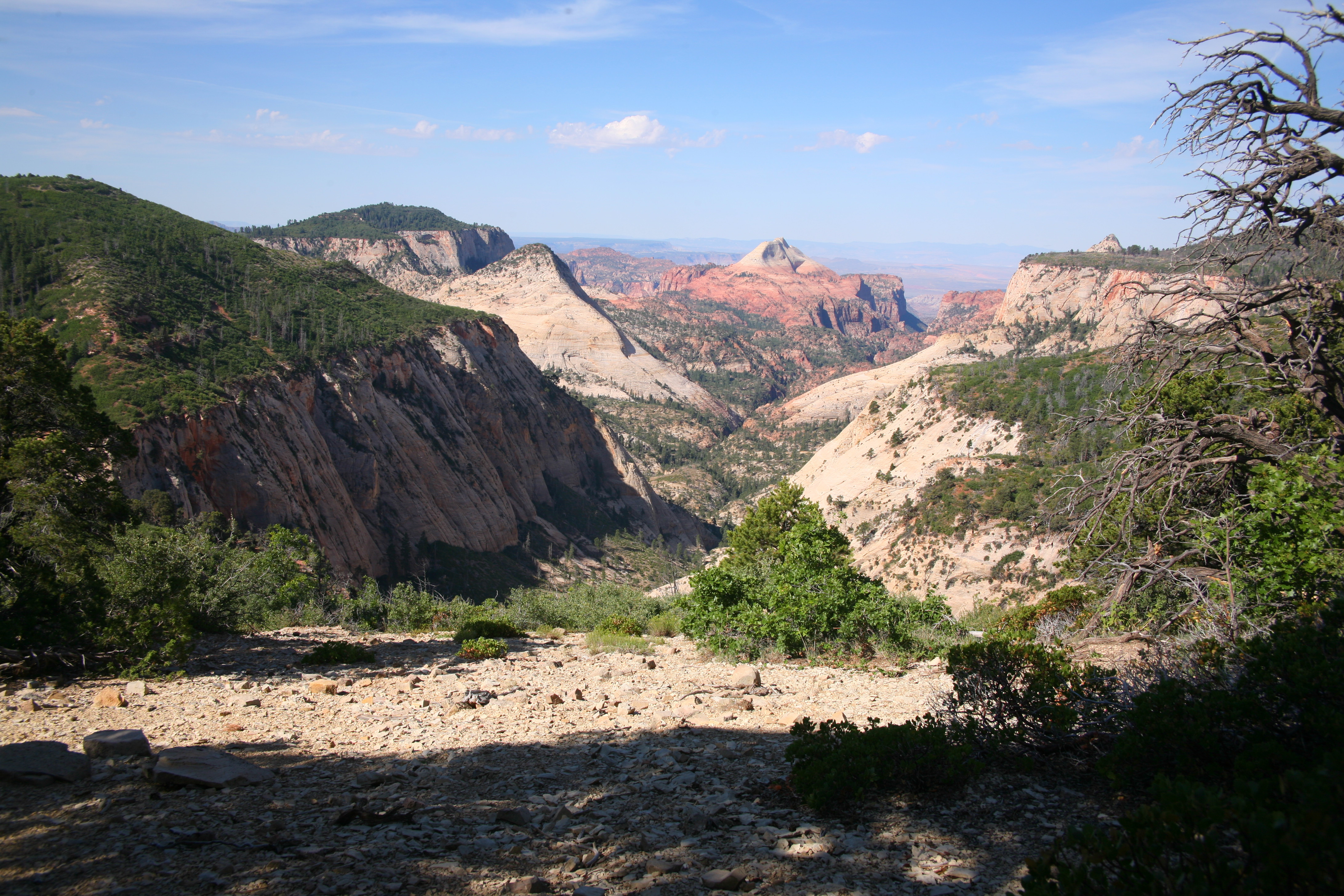 Zion West Rim 2014-07-13 0003