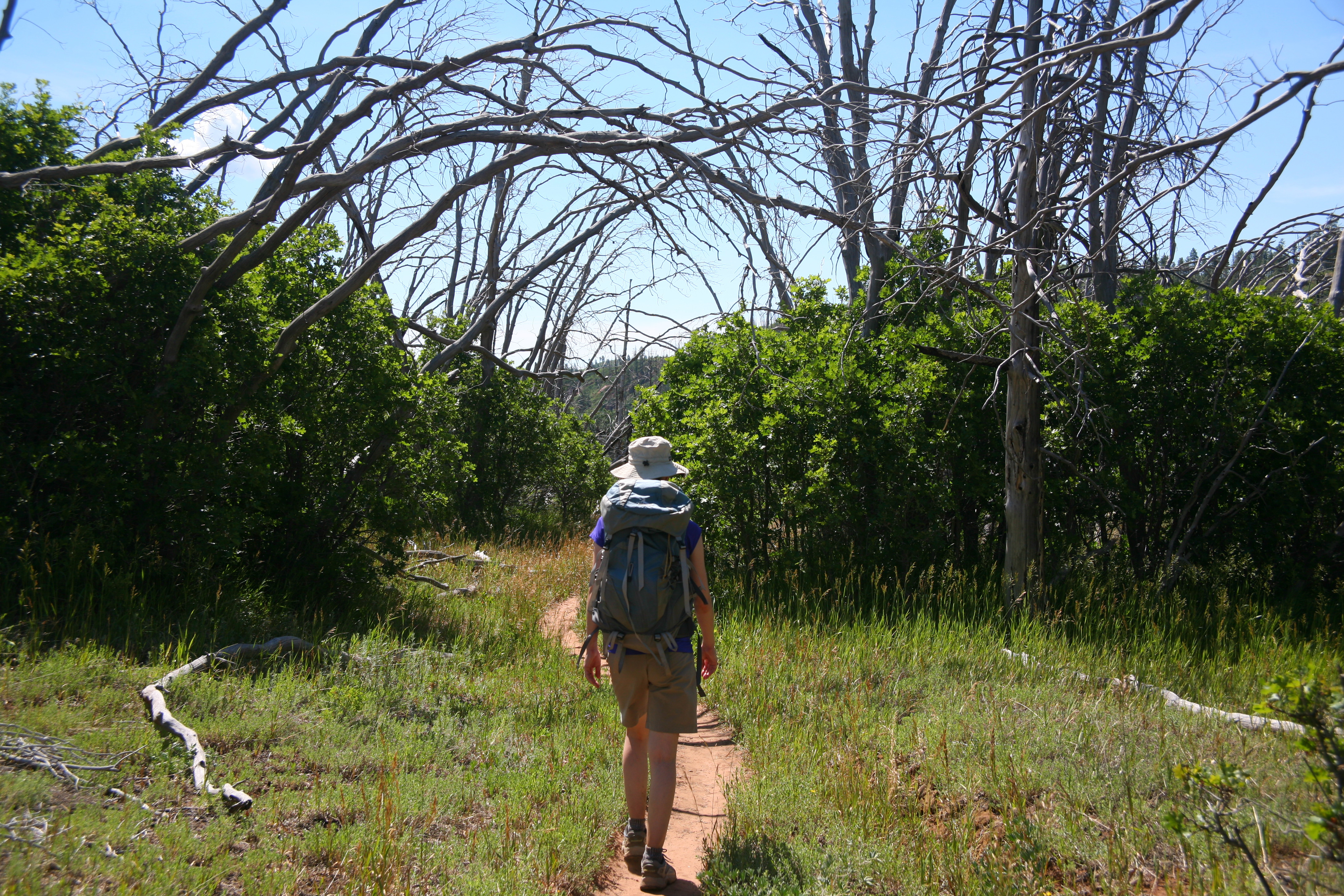 Zion West Rim 2014-07-13 0007