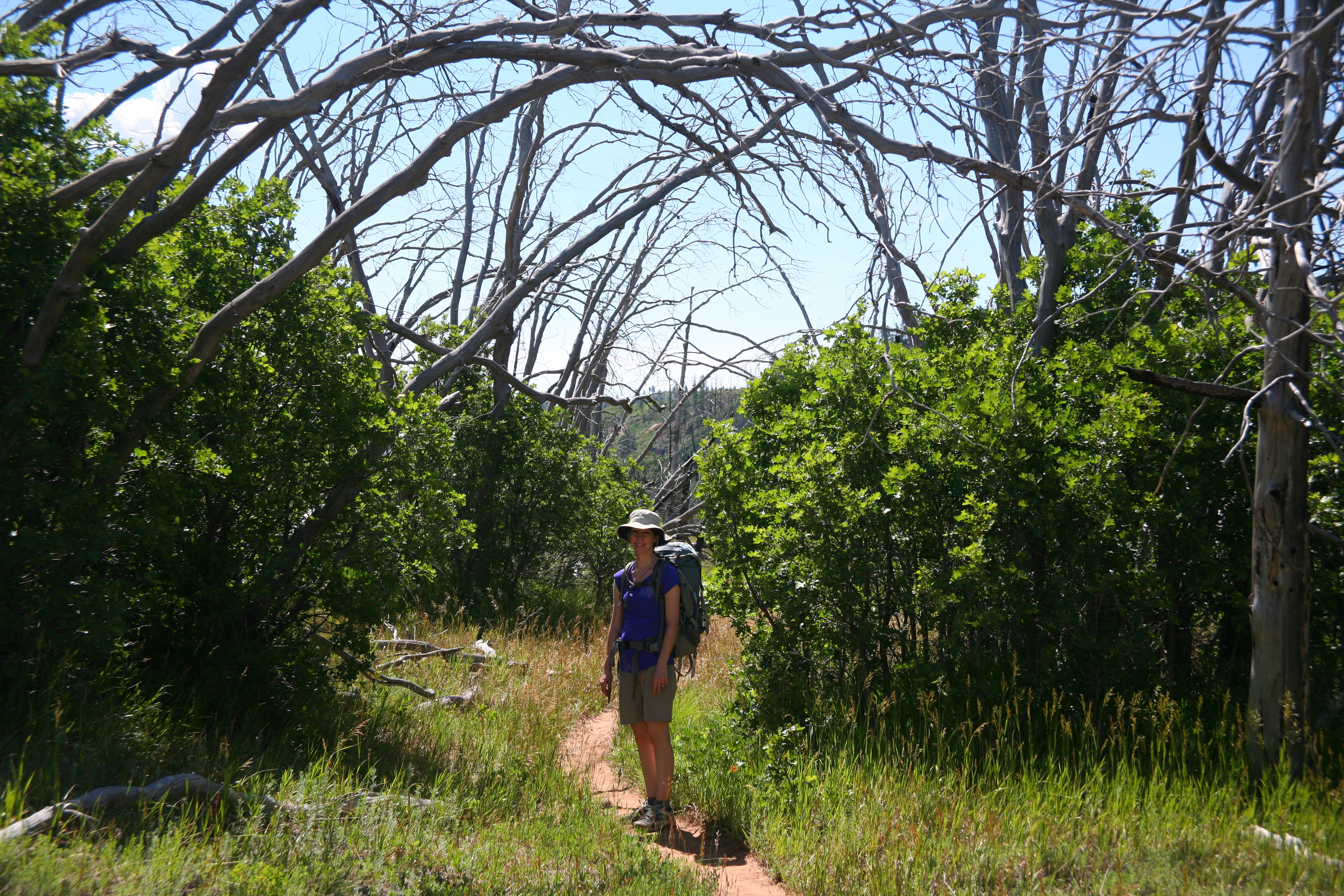 Zion West Rim 2014-07-13 0008
