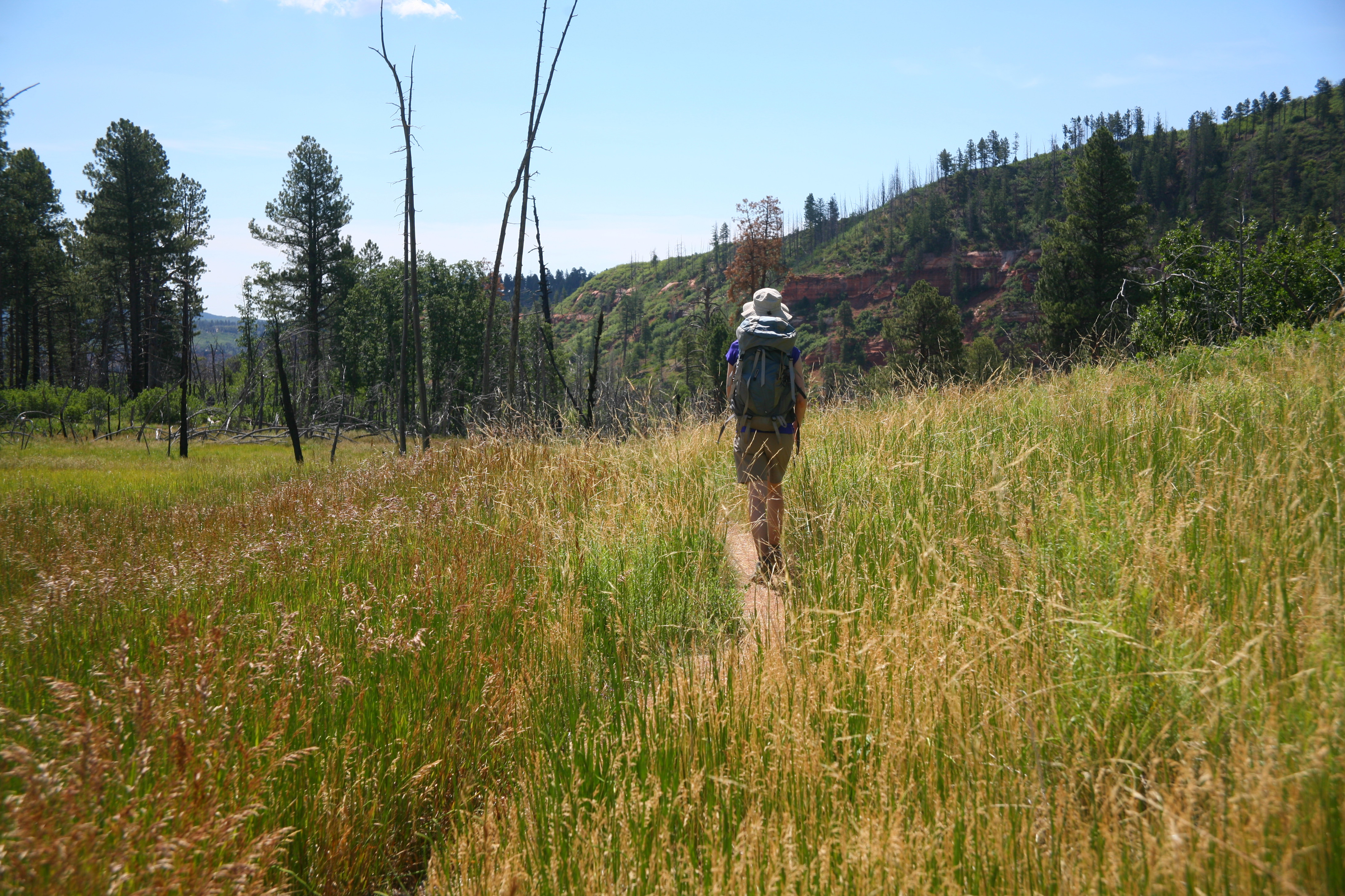 Zion West Rim 2014-07-13 0009