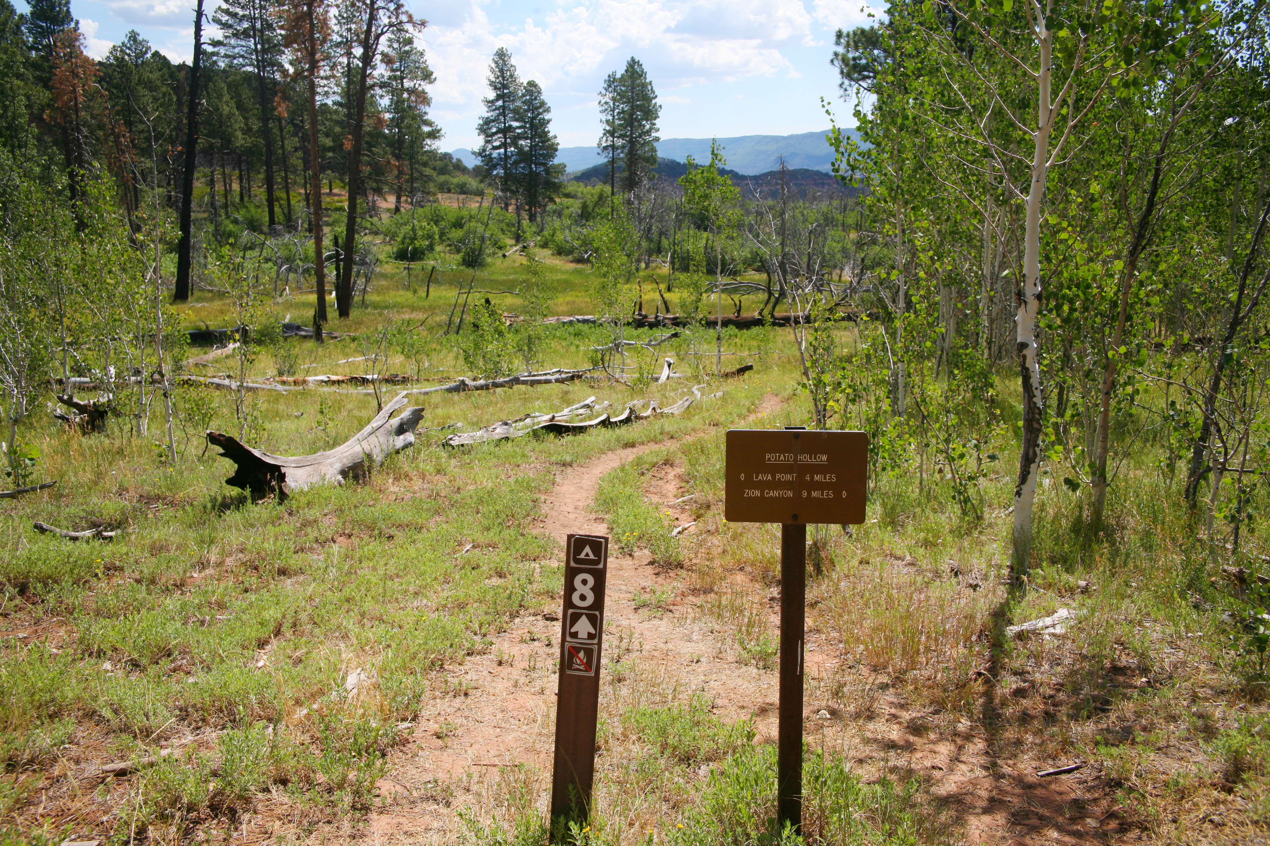 Zion West Rim 2014-07-13 0010