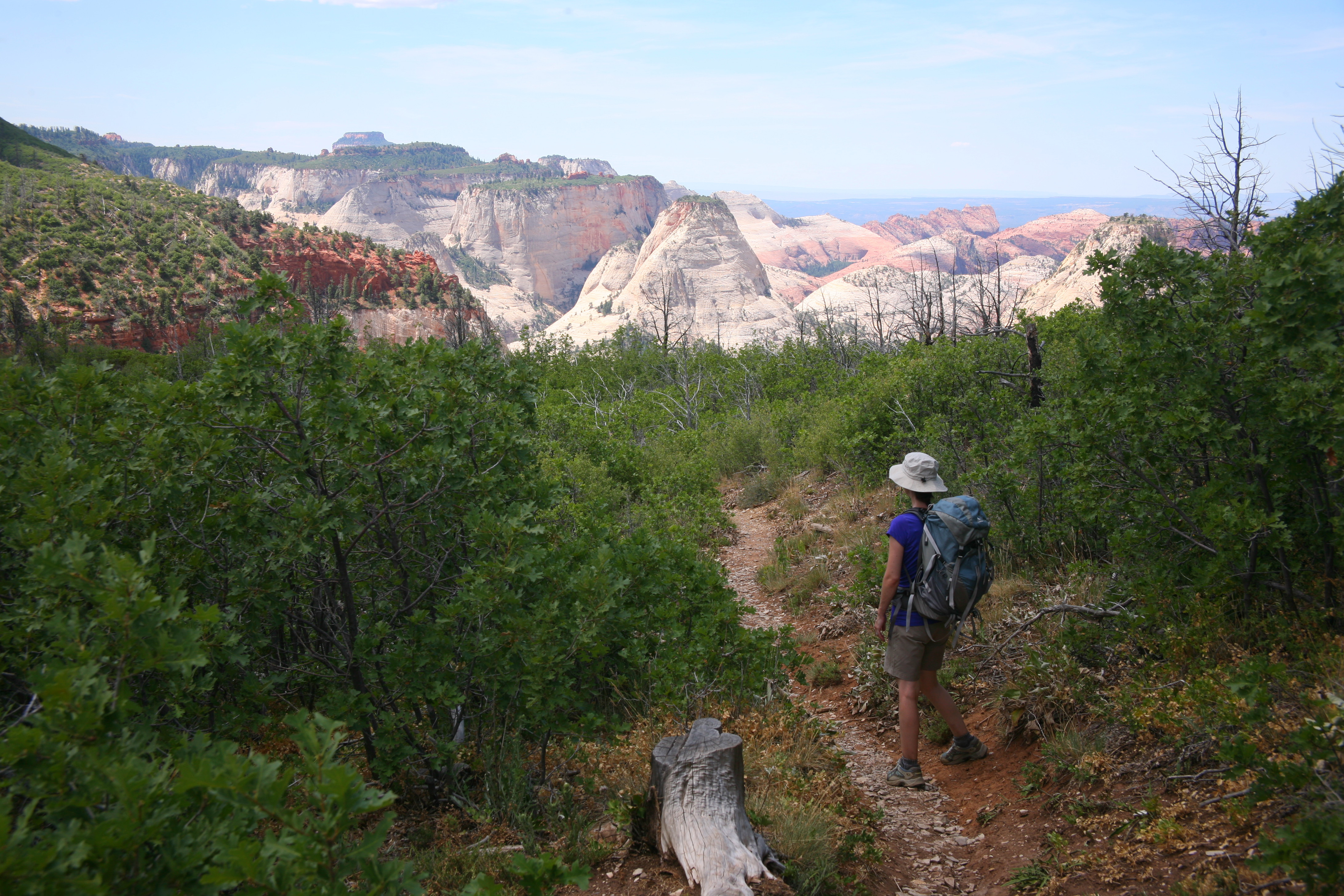 Zion West Rim 2014-07-13 0012