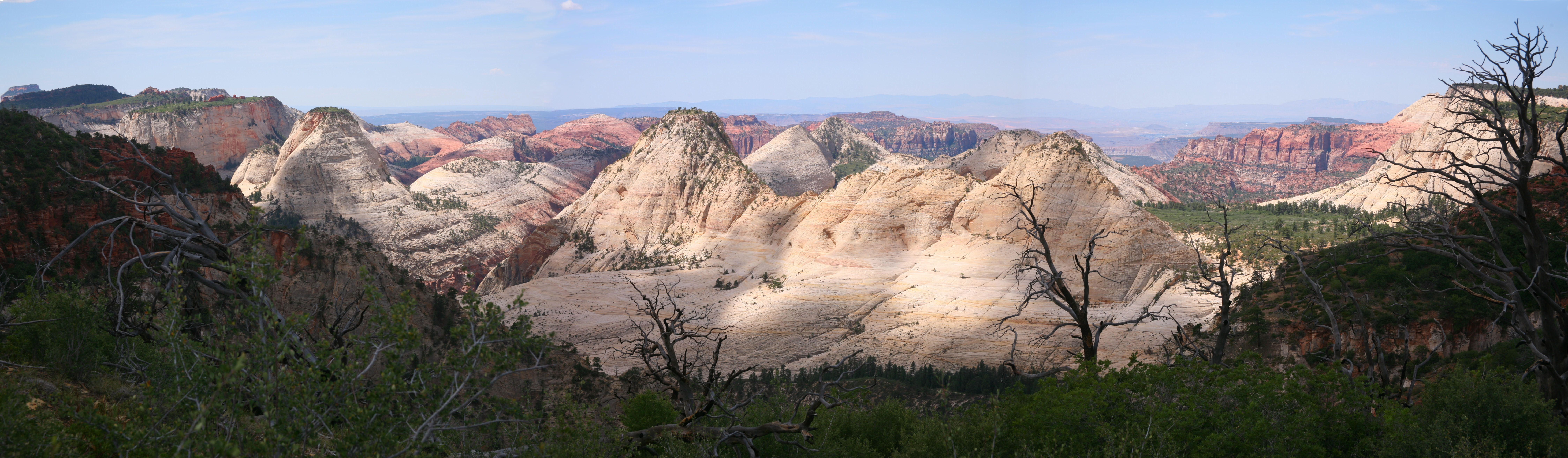 Zion West Rim 2014-07-13 0013