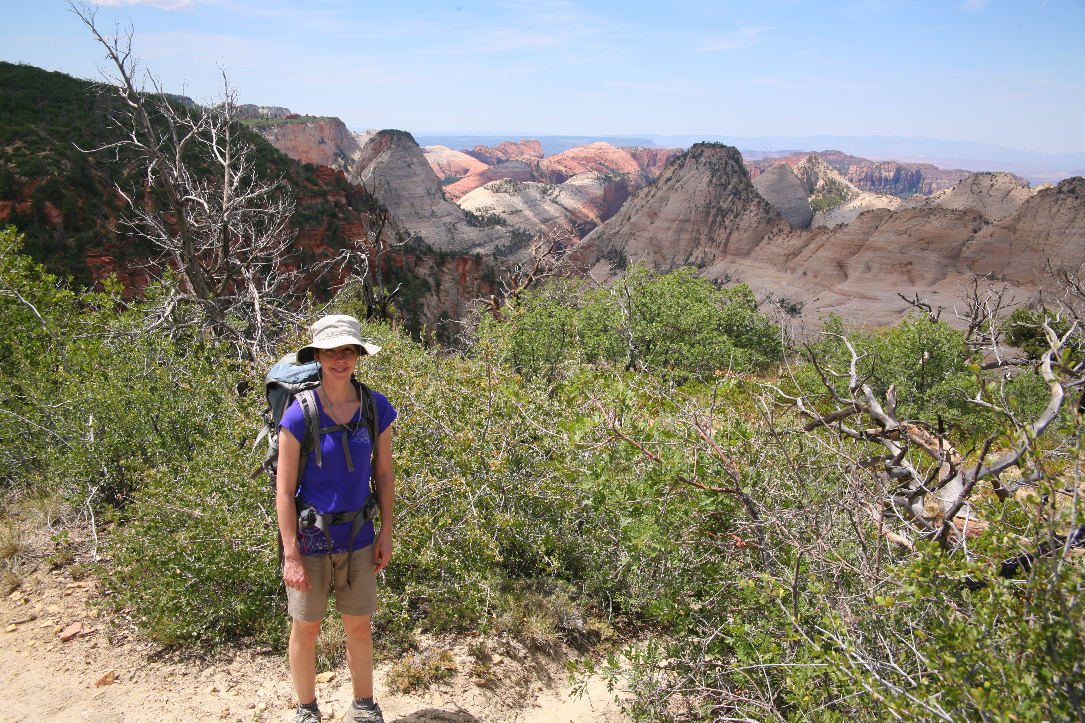 Zion West Rim 2014-07-13 0014