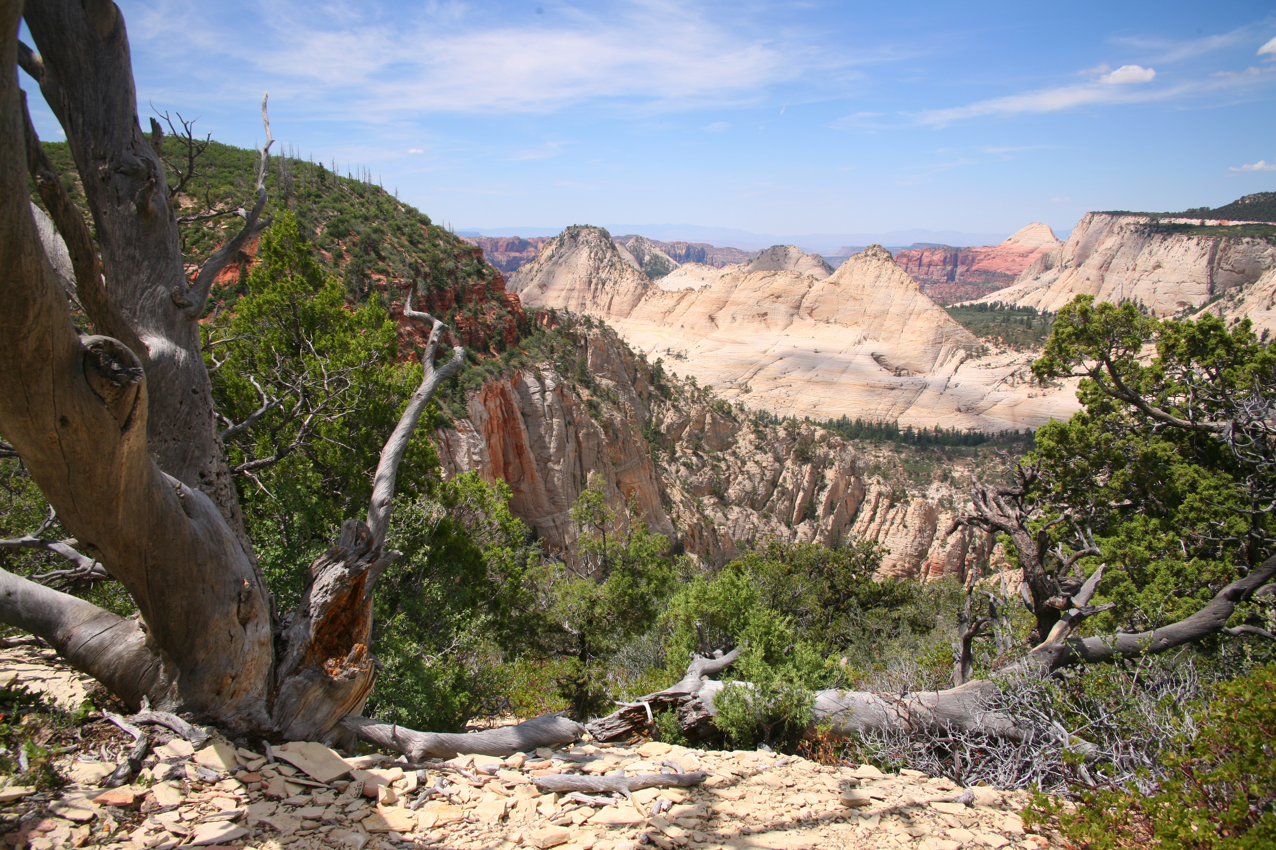 Zion West Rim 2014-07-13 0015