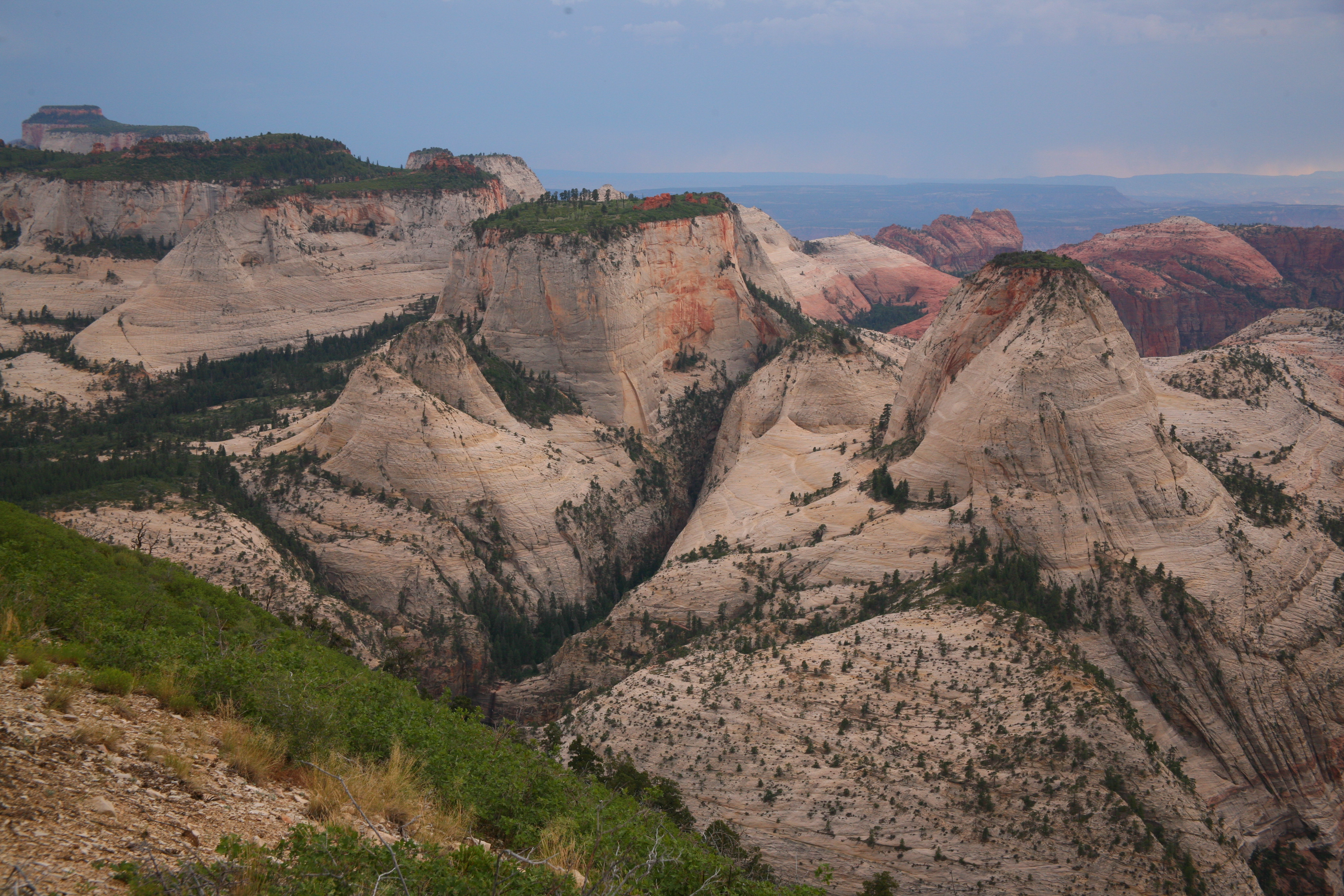 Zion West Rim 2014-07-13 0018